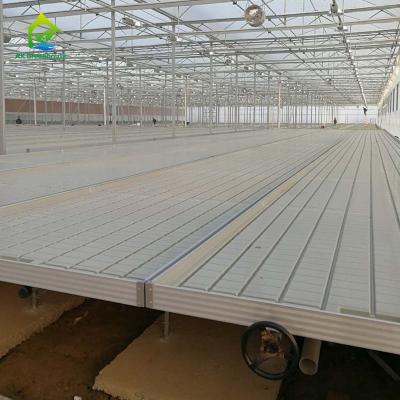 China Hot Galvanized Greenhouse Rolling Benches Earthquake Proof Ebb And Flood Benches à venda