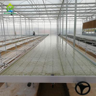 China Movable Agriculture Hydroponic Rolling Benches 4x4 4x8 Flood And Drain Table for sale