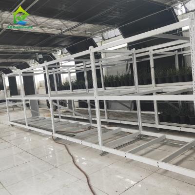 China Hot Galvanized Multilevel Greenhouse Racks Double Layer Ebb And Flow Rolling Benches for sale
