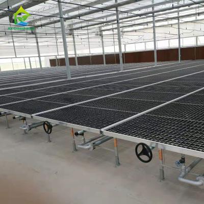 China HDG Steel Frame Greenhouse Plant Tables 50*100mm Mesh Nursery Potting Benches for sale