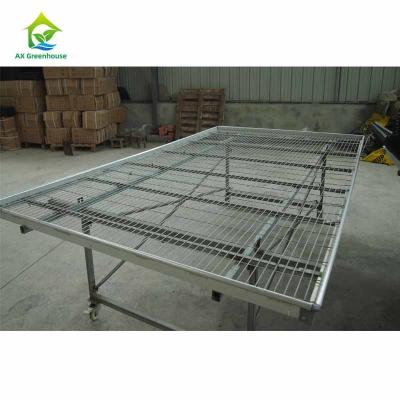 China Agricultural Commercial Greenhouse Tables 55-65kg/M2 Vegetable Growing Table for sale
