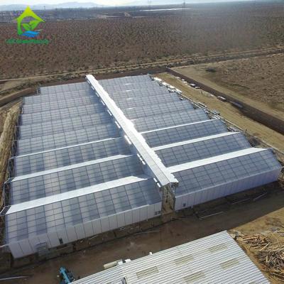China Full Bloom Light Deprivation Greenhouse Automated Interior Blackout Greenhouses for sale