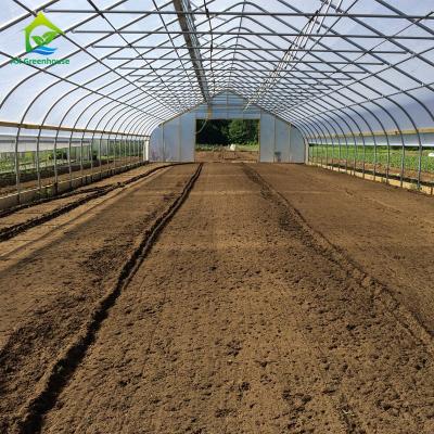 China 10-100m Length Broccoli Polytunnel Foil Greenhouse With Metal Frame for sale
