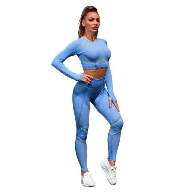 China Plus Size Sports Wear Clothing Seamless Activewear Set Long Sleeved for sale