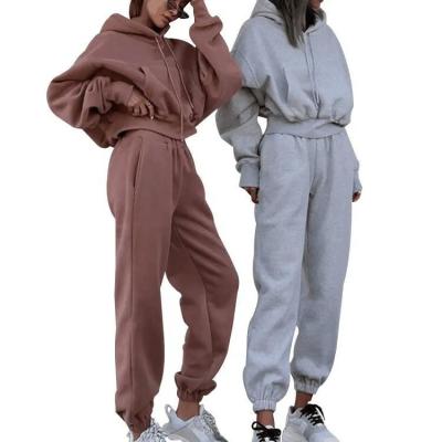 China                  Autumn Winter Jogger Jumper Gym Workout Women Fall 2 Piece Set Crop Top Oversize Hoodie Tracksuits              for sale