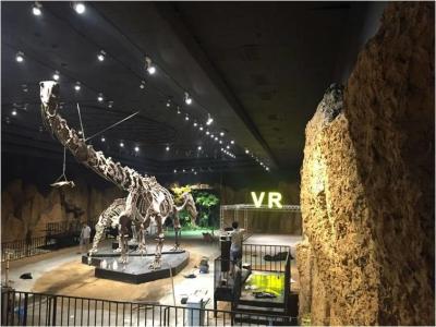 China Virtual Reality  Software Tourist VR Theme Park  VR Industry Application for sale