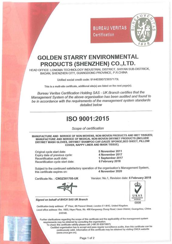 ISO 9001:2015 - Golden Starry Environmental Products (Shenzhen) Co., Ltd.