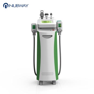 China Newest Vertical Vacuum Cavitation Slimming Cryolipolysis Machine for sale