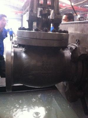 China api swing check valve for sale