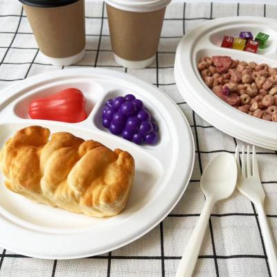 China Divided Paper Biodegradable Disposable Plates 2-Compartment 3-Compartment for sale