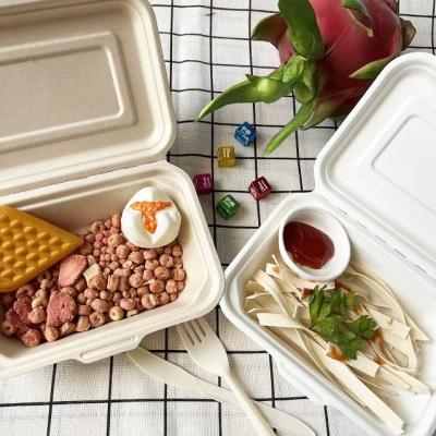 China 600ml Lunch Biodegradable Bagasse Tableware Disposable Takeaway Containers for sale