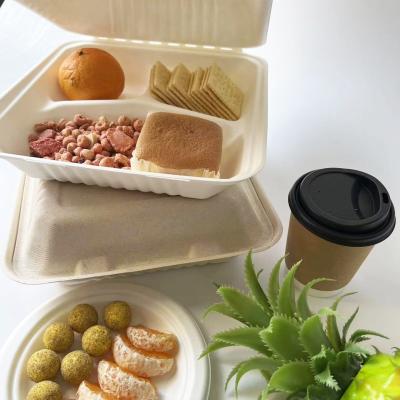 China 3 Compartment Biodegradable Clamshell Food Containers 9 Inch Greaseproof for sale
