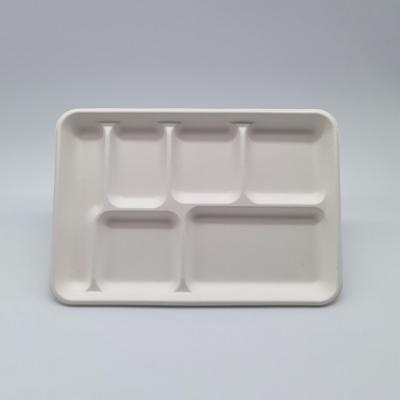 China 6 Compartment Disposable Plates Biodegradable Divided Rectangle Tray for sale