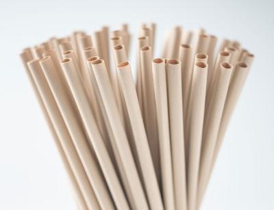 China Compostable Biodegradable Bamboo Fiber Straw For Hot Cold Drinks for sale