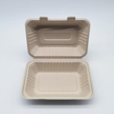 China 900ml Eco Friendly Disposable Bento Box for sale