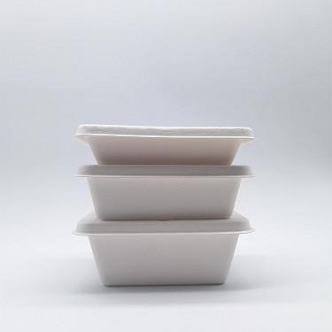 China Restaurant Eco Friendly Disposable Bento Box Biodegradable Oilproof for sale