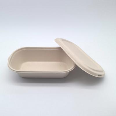 China Greaseproof Oval Biodegradable Bagasse Tableware Bento Box For Salad for sale