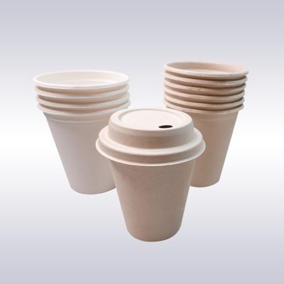 China Multiscene Biodegradable Coffee Cups for sale
