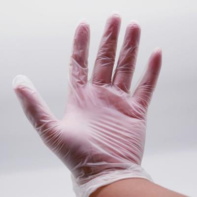 China Disposable Vinyl Gloves for sale