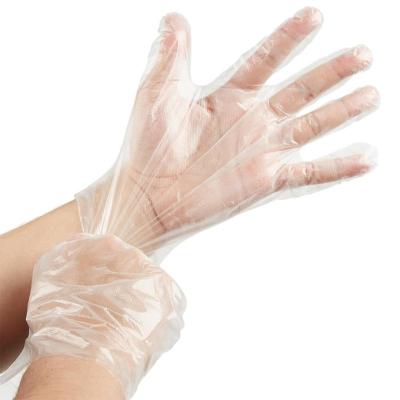 China Disposable PE gloves for sale