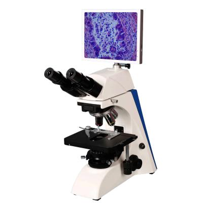 China LCD5000 Affordable 8 inch LCD tourching sreen digital camera microscopy/LCD microscope for hospital reserch labrotary for sale
