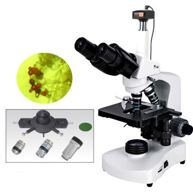 China BM117PHT with 1.3MP camera  1600X Biological brighfield and turret phase contrast  digital mikroskop for living cells for sale