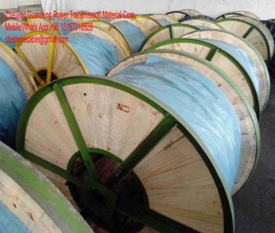 China EHS GUY WIRE 5/8