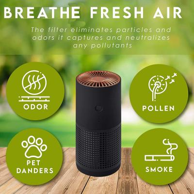 China H13 H12 HEPA Negative Ion Portable Air Purifier For Pollen Allergies Smoke for sale