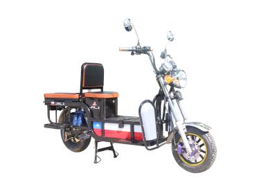China 250 Kg Long Range Adult Electric Bike With Loading Steel Body , AOWA E Bike for sale