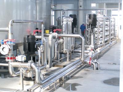 China Removed 99.99% Pathogene 15T RO Water Treatment System for sale
