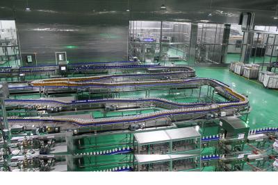 Chine La bouteille de machine de remplissage raye 304 solides solubles aèrent le système de convoyeur à vendre