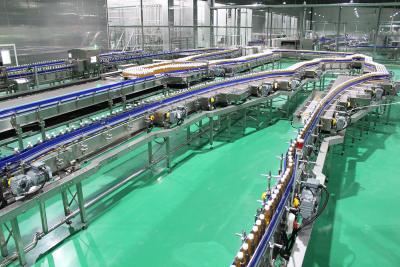 China Electric Driven 220V 380V Bottle Filling Conveyor System for sale