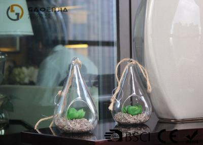 China Glass Plant Holders / Glass Plant Terrarium For Indoor Decoration for sale