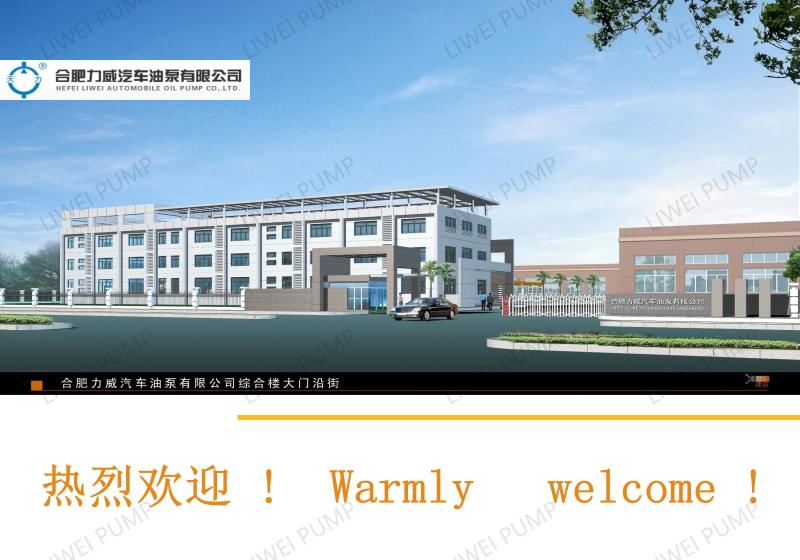 確認済みの中国サプライヤー - Hefei Liwei Automobile Oil Pump Co., Ltd