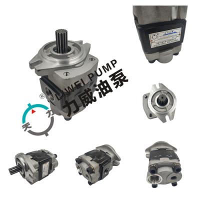 China Bidirectional Gear Forklift Hydraulic Pump 91E71-10200 ODM for sale