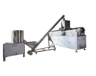 China Delicious Tasty Corn Chips Production Line Equipment for Mouthwatering Crisps in 2021 for sale