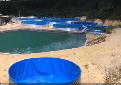 China Galvanized Sheet Aquariums Tarpaulin Fish Tank 50000 Liters for sale
