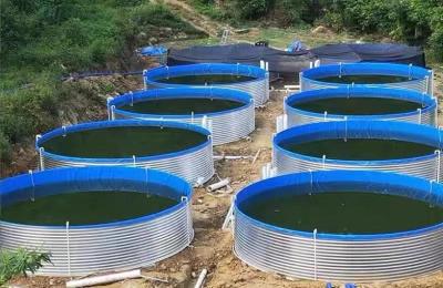China Galvanized Sheet Aquariums Tarpaulin Fish Farming Tanks 20M D 1.20M H for sale