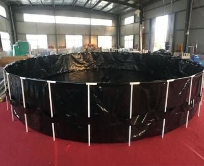 China Acuario negro de 6000 galones, cría ornamental de los pescados con el acuario plegable del marco de acero en venta
