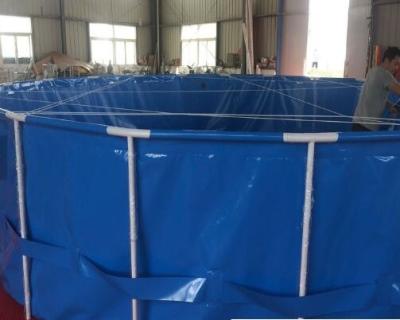 China 500 Cubic Fish Pond Plastic Tank With Folding Frame Exteriors Custom Colors Collapsible Fish Tank for sale