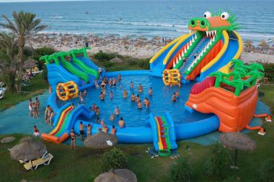 China Tarpaulin Inflatable Amusement Park Water Slide Jumper Castle CE Certification Inflatable Amusement Park for sale
