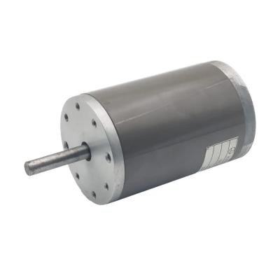 China 50-100W DC Brush Motor AC 300V/10mA/2Sec Blender Motor Replacement for sale