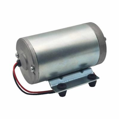 China TW5230 Electric Water Motor Pump Motor Dc 36V Motor For Pump for sale