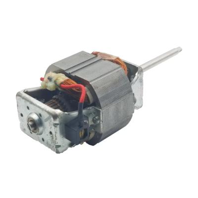 China 450W Alternating Current Induction Motor 110V Induction Electric Motor For Soymilk Machine for sale
