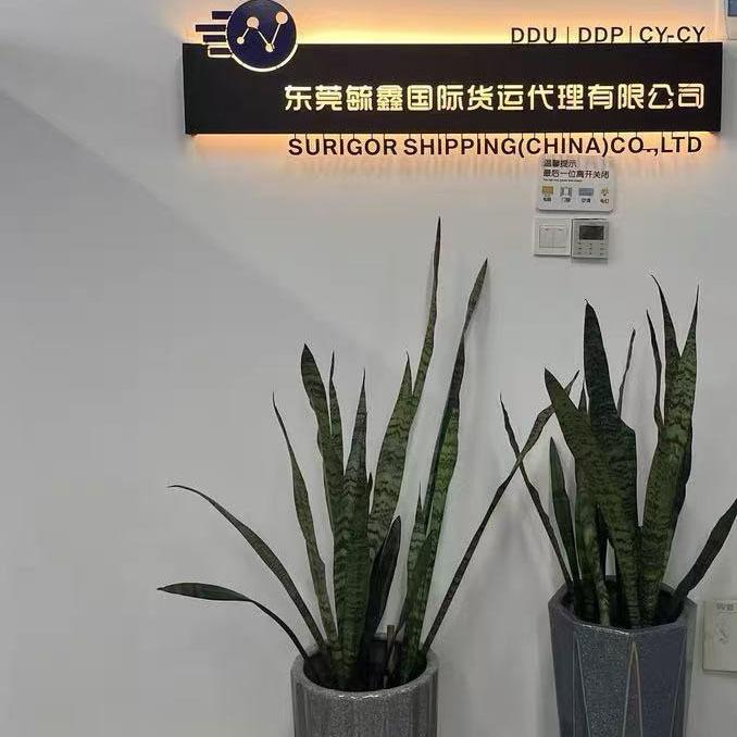 Verified China supplier - Surigor Shipping (China) Co., Ltd.