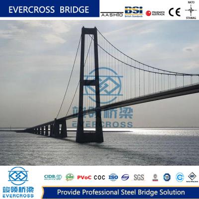 中国 強さと耐久性 吊り橋用の鋼筋ケーブル オーダーメイドの大きなスパン 販売のため