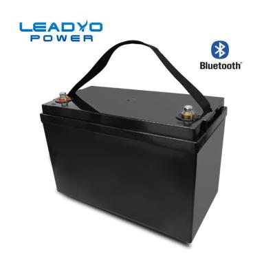 Cina Cassa dell'ABS di Screwable del nero della batteria 12V 100ah 1280Wh di Leadyo Smart BMS Lifepo 4 in vendita