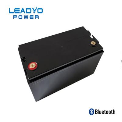 Китай Случай батарей Lifepo4 12V 100amp пластиковый Screwable LEADYO BMS морской продается