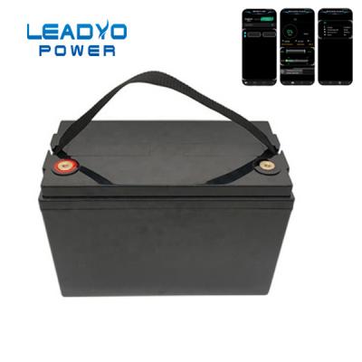 China 12V 100Ah Leadyo Battery RV Deep Cycle Lifepo4 Battery WIth Monitor APP for sale