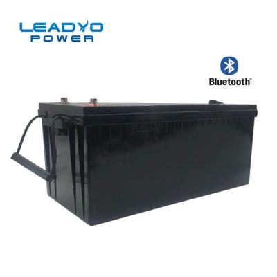 China LEADYO Bluetooth Lithium Deep Cycle Marine Battery 24V 200Ah LiFePO4 Battery for sale
